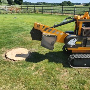 Suffolk Tree Stump Grinding