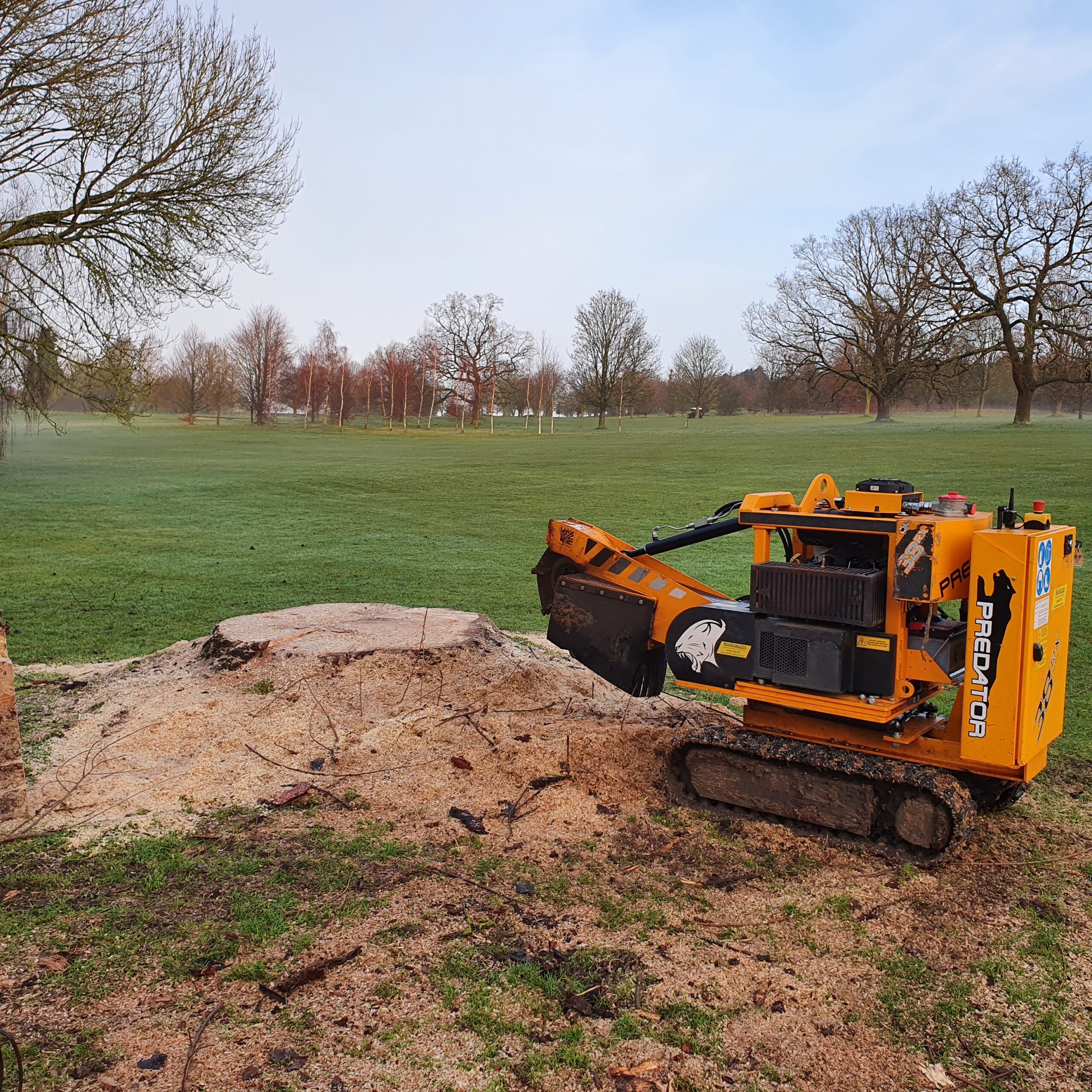 Stump Grinding A Large Oak Tree Stump