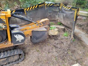 Tree Stump Grinding At Bury St Edmunds Suffolk