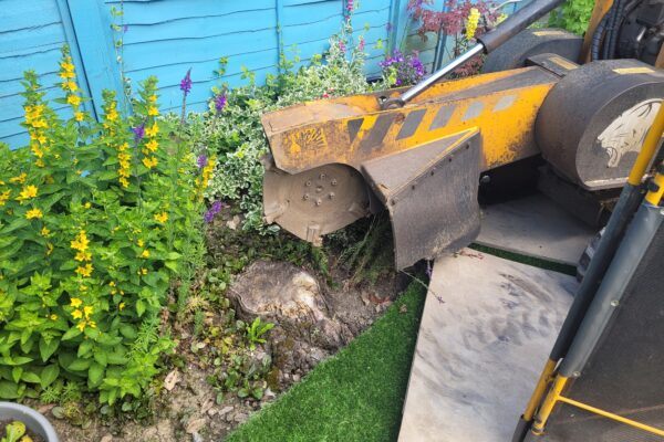 Tree Stump Grinding In Haverhill Suffolk