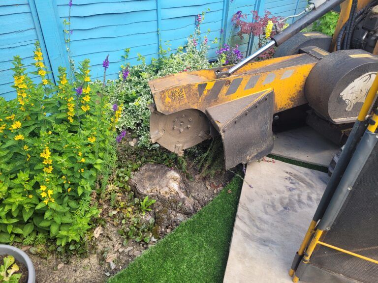 Tree Stump Grinding In Haverhill Suffolk