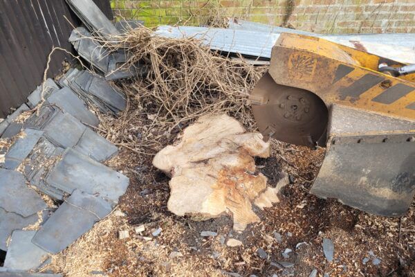 Suffolk Tree Stump Grinding At Brettenham, Near Stowmarket, Suffolk