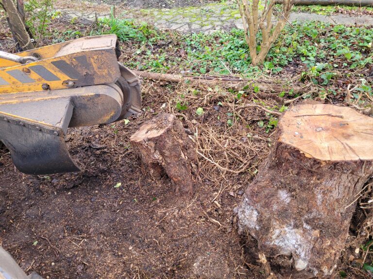 Tree Stump Grinding In Hundon