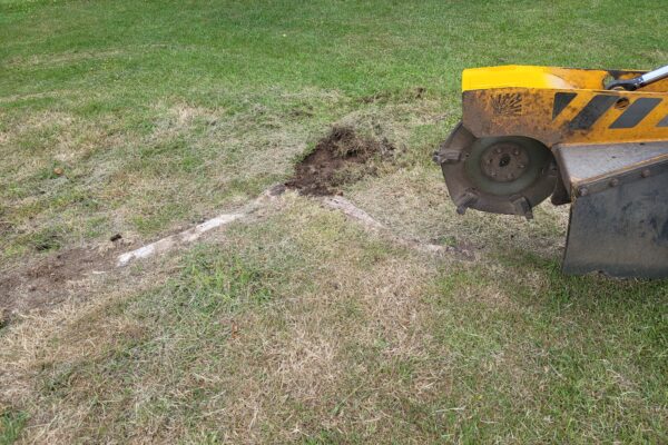Stump Grinding in Hintlesham, Near Hadleigh, Suffolk